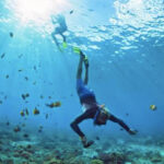 Les meilleurs spots de plongée à Cuba