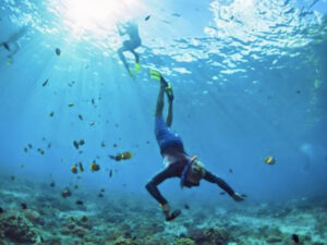Les meilleurs spots de plongée à Cuba
